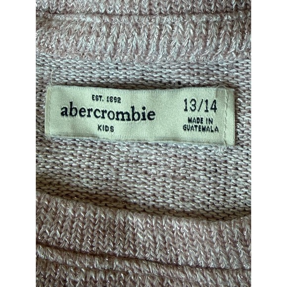 Abercrombie Kids Long Sleeve Glitter Logo Graphic Sweater Light Pink Size 13 14 - Picture 3 of 4